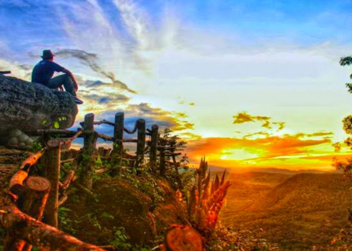 Simak Pesona Wisata Terbaru 2024 Geoforest Watu Payung Gunungkidul Punya Spot Sunrise Terbaik Cek Selengkapnya