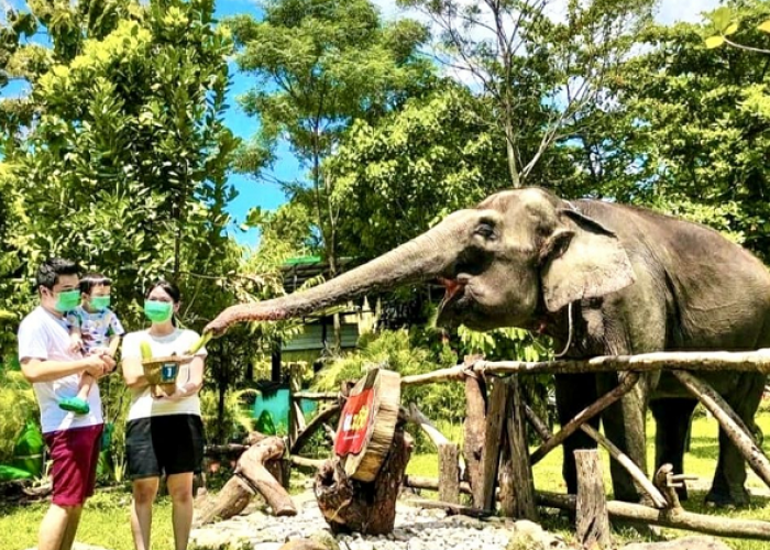 Liburan Lebaran 2026 Paling Edukatif dan Hemat di Yogyakarta