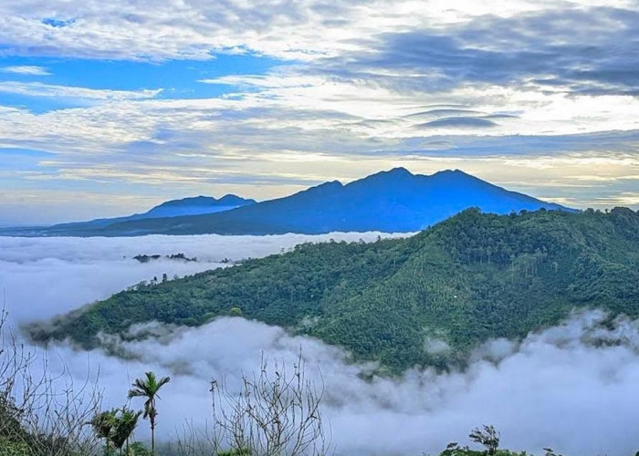 6 Destinasi Wisata Terbaik Daerah Pringsewu Lampung, Tawarkan Keindahan Alam yang Estetik
