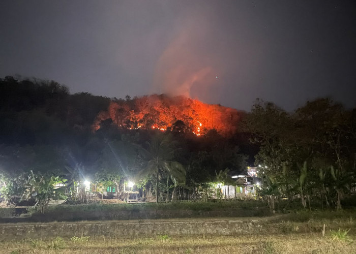 Lahan Sultan Ground dan Milik Warga di Imogiri Terbakar, Polisi Masih Selidiki Penyebab Api