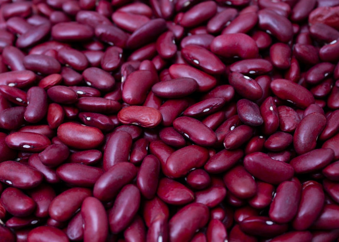 Inilah 10 Manfaat Luar Biasa Kacang Merah Bagi Kesehatan Anda