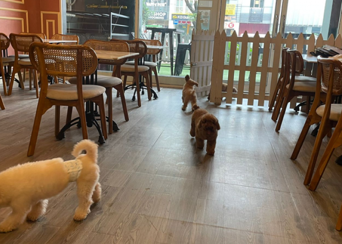 Daftar Destinasi Kafe dan Wisata Satwa Unggulan di Tangerang, Simak Referensi Selengkapnya Berikut Ini