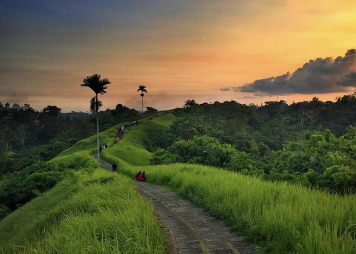 Wisata Bukit Campuhan Ubud Bali: Aktivitas Seru dengan Bentang Alam Memukau, Cek Disini