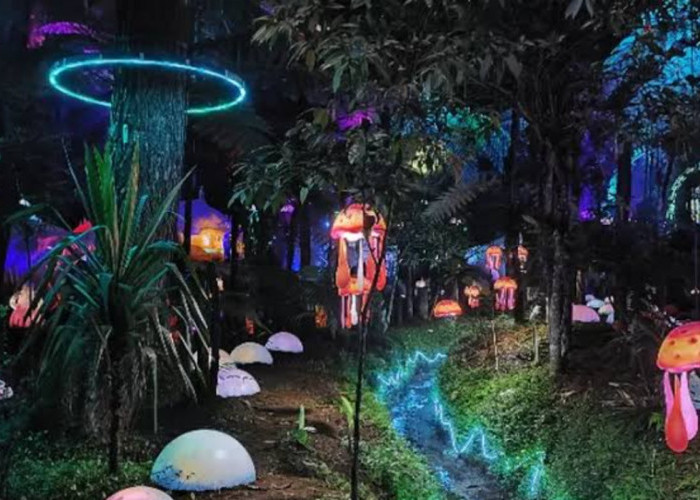 Konsep Glow in The Dark Beri Pengalaman Baru, Wisata Terbaru 2024 Hutan Mycelia