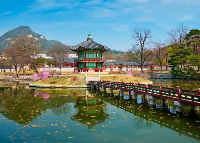 Rasakan Wisata Terbaru Pasuruan 2024: Liburan Ala Korea Ada di Sini! Tak Perlu Jauh Ke Luar Negeri