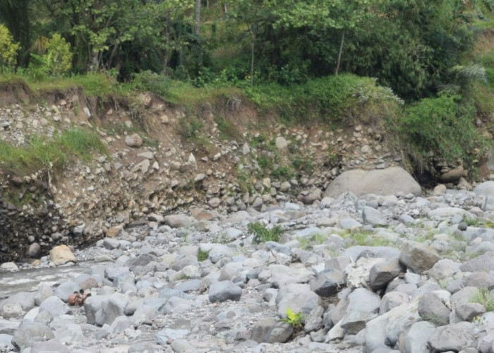 Tebing Sungai Keruh Terus Tergerus, Rawah Terjadi Pergerakan Tanah