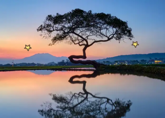 Wisata Paling Menarik untuk Liburan Keluarga Menemukan Pesona Tersembunyi di Salatiga