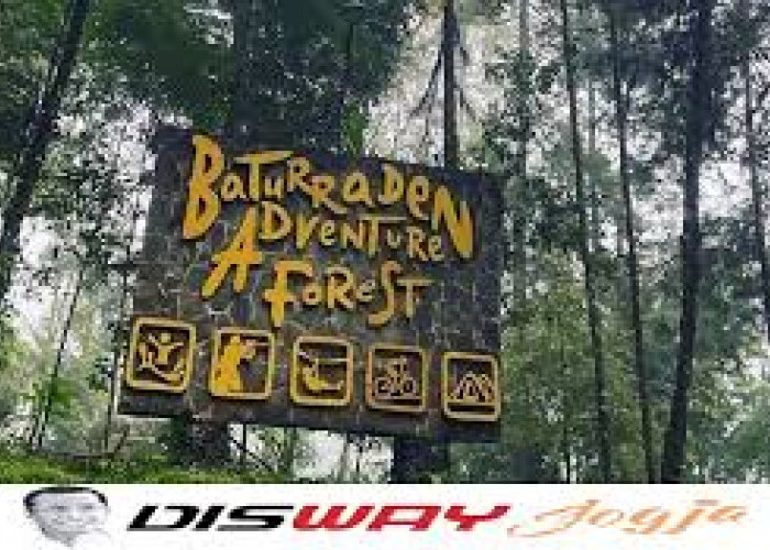 Baturaden Adventure Forest Wisata Terbaru 2024 Purwokerto, Simak HTM dan Fasilitas yang Bisa Kamu Nikmati