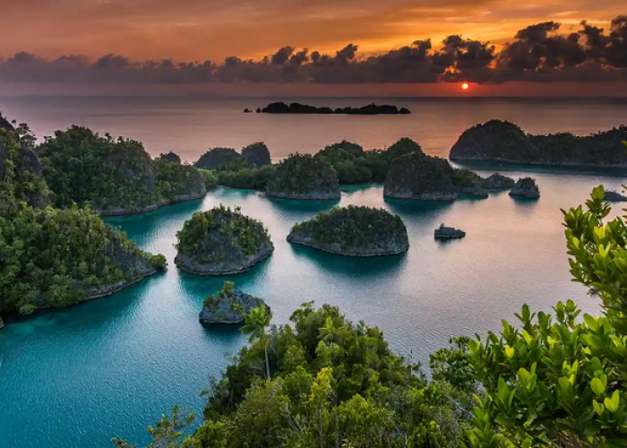 Raja Ampat Jadi Surga Bawah Laut Indonesia Paling Sering Jadi Incaran Turis, Berikut Informasi Selengkapnya