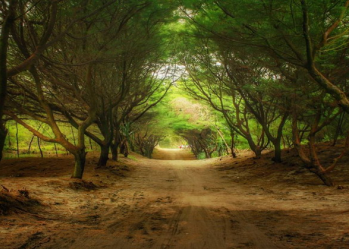 Rekomendasi Pantai Ramah Keluarga Paling Strategis dari Stasiun Tugu Yogyakarta, Simak Referensi Lengkapnya