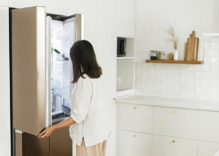 Penyebab Suhu Freezer Merek Kulkas Terbaik Tidak Stabil, Begini Cara Mengatasinya