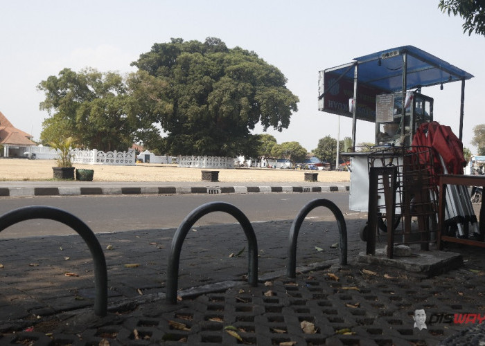 Viral Food Truck Di Alun-Alun Kidul, Keraton Minta Dugaan Pungutan Ditindaklanjuti Pihak Berwenang