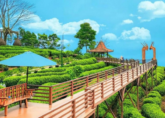 5 Pilihan Wisata Menarik di Subang Tawarkan Sensasi Berlibur Beda, Simak Disini