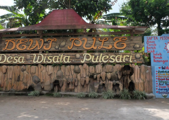 Wisata Terbaru 2024 Desa Wisata Pulesari: Suguhkan Oleh-Oleh Buah Salak Manis Khas Sleman