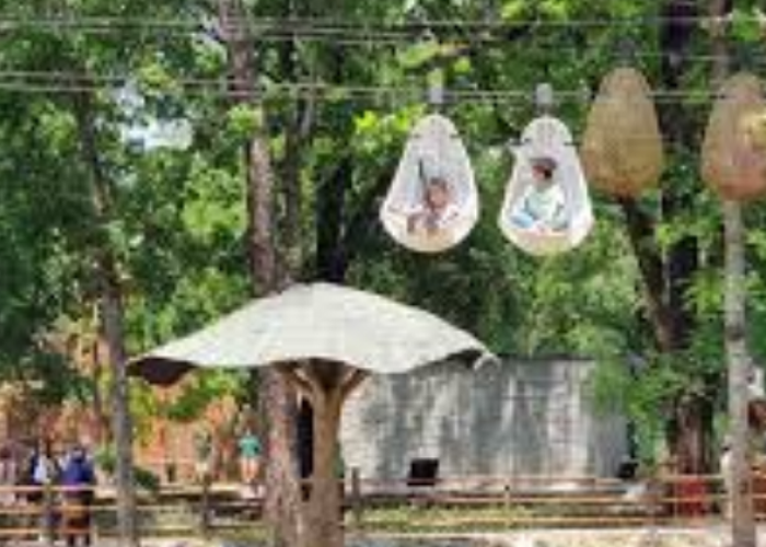 Liburan Hemat Keluarga di Solo Safari 2026, Kupas Tuntas Manfaat Kids Pass yang Wajib Dimiliki