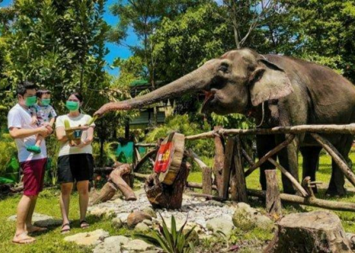 Rekomendasi Wisata Keluarga Terbaik di Jogja untuk Liburan Seru Bareng Keluarga