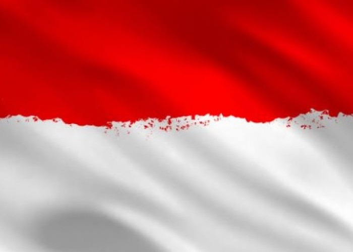 Bendera Merah Putih: Simbol Kebanggaan dan Identitas Bangsa Indonesia