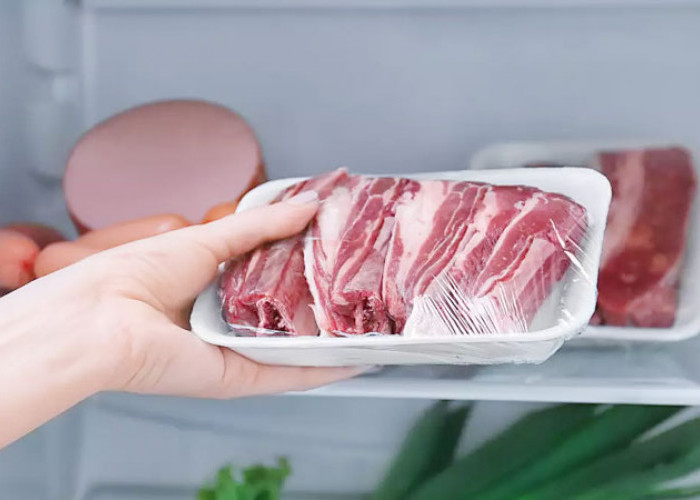 5 Cara Menyimpan Daging Kurban Dalam Merk Kulkas Terbaik, Simak Ulasannya