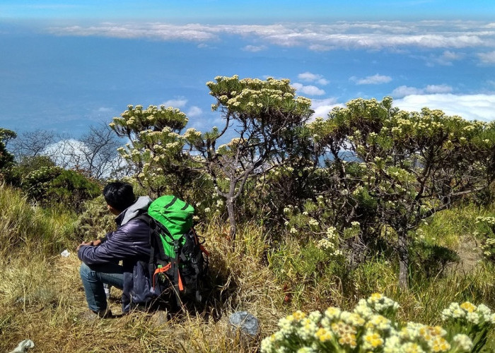 6 Pilihan Wisata Keluarga Seru di Kuningan Sajikan Keindahan Alam Eksotis, Cek Informasi Lengkapnya Disini