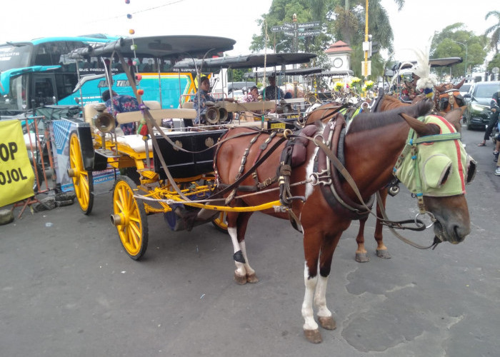 Tarif Andong Naik Rp50 Ribu, Kusir Nikmati Lonjakan Wisatawan Lebaran di Malioboro