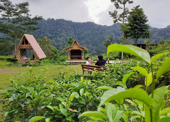 6 Destinasi Wisata Hits di Sumedang Tahun 2025, Tawarkan Suasana Liburan Paling Damai