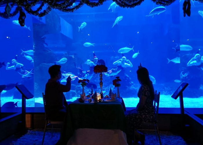 Daftar Eksplorasi Edukasi dan Hiburan Keluarga Indonesia Selama Nataru