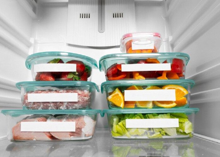 11 Tips Menyimpan Makanan Dalam Merek Kulkas Terbaik Jenis Freezer Cooking