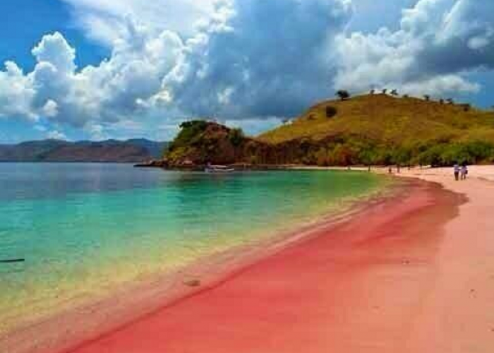 Eksotisme Pantai Pulau Merah Banyuwangi jadi Destinasi Favorit untuk Bersantai