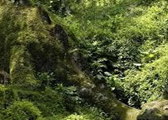 Healing Seru! 8 Wisata Hits Karawang 2025, Cocok Untuk Waktu Santai Healing di Tengah Alam