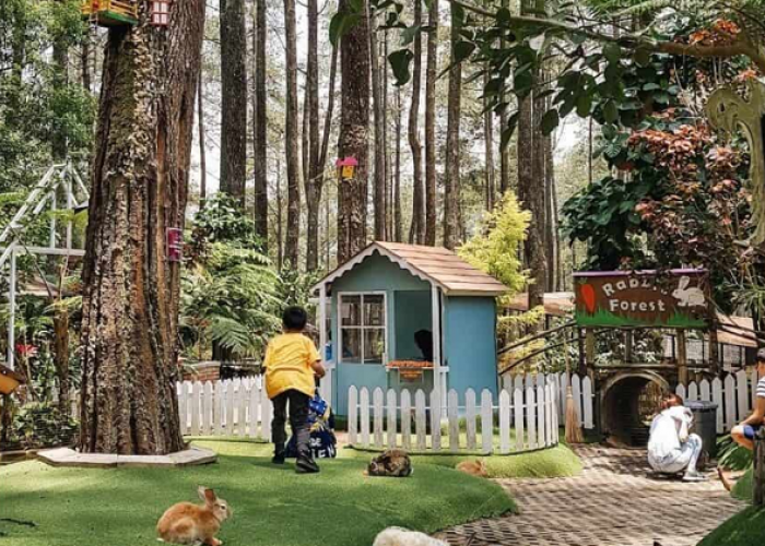 Destinasi Sempurna Healing di Bandung yang Lagi Hits Cocok Untuk Melepas Penat