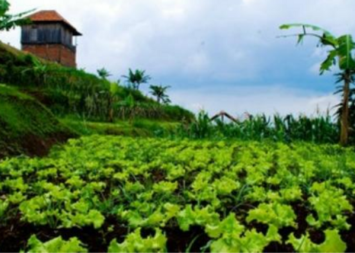 Nikmati Rekreasi Seru, Edukatif Tempat Wisata di Cimahi Paling Hits untuk Liburan Keluarga