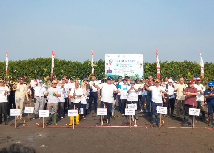 Menteri LH Ajak Masyarakat Brebes Tanam 2.045 Mangrove, Cegah Abrasi Pulihkan 770.000 Hektare Lahan Mangrove