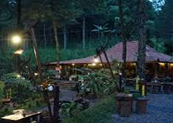 Amazing dan Instagramable! Cafe Estetik Pasuruan 2025, Cocok Buat Nongkrong Anak Muda Kekinian