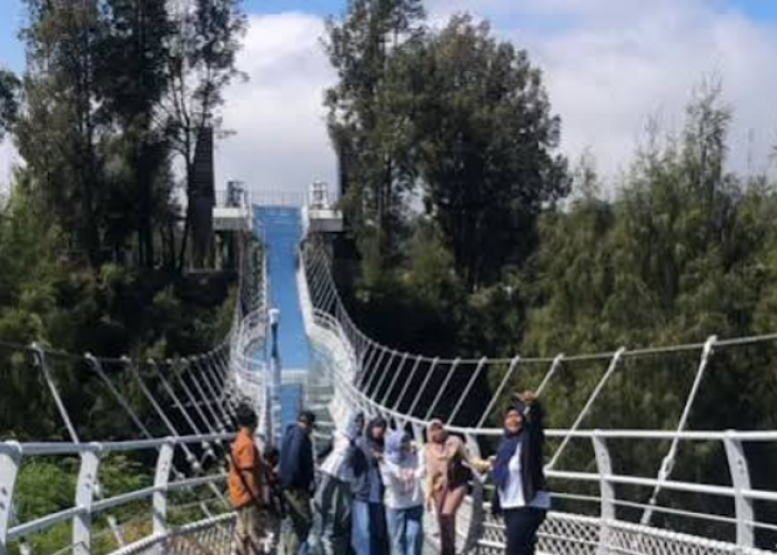 Menantang Adrenalin di Bromo Sky Bridge, Objek Wisata Terbaru dengan Pemandangan Memukau