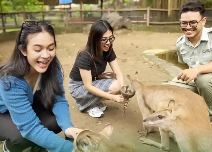 Sensasi Ngabuburit Eksotis di Solo Safari, Menikmati Senja Bersama Satwa dan Kuliner Ikonik