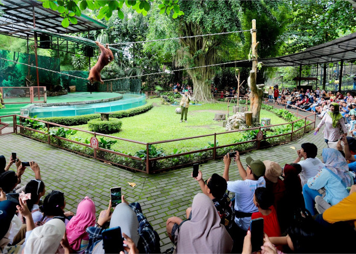 Mengenalkan Berbagai Hewan Gembira Loka Zoo, Rekomendasi Liburan Asik Bersama Keluarga di Akhir Tahun