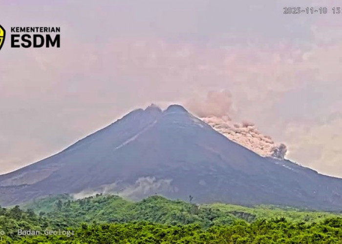 Aktivitas Vulkanik Gunung Merapi Kembali Meningkat, Awan Panas Guguran Capai 1,2 Kilometer