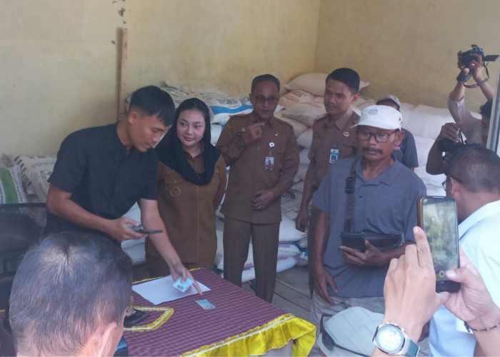 Genjot Potensi Perikanan Tambak Payau Wilayah Brebes, 9.923 Hektar Tambak Digelontor 1.500 Ton Pupuk Subsidi