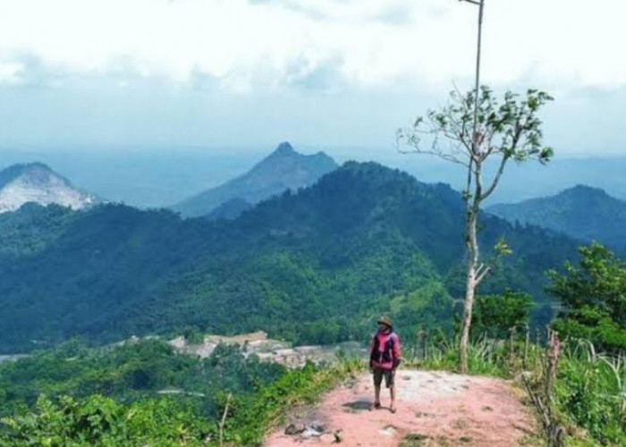 Wisata Terbaru 2024 Puncak Sempur Karawang, Tempat Kemah yang Seru dan Menyenangkan