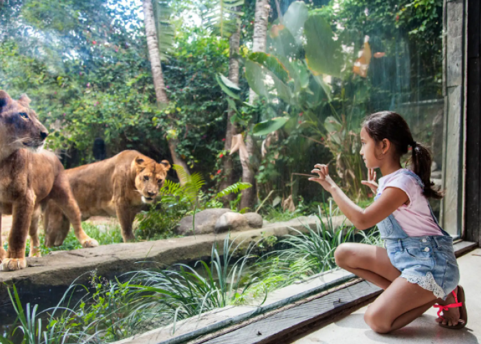 Ini Dia Wisata Terbaru 2024! Kebun Binatang Terbesar di Indonesia, Beragam Satwa bisa Anda Lihat Disini