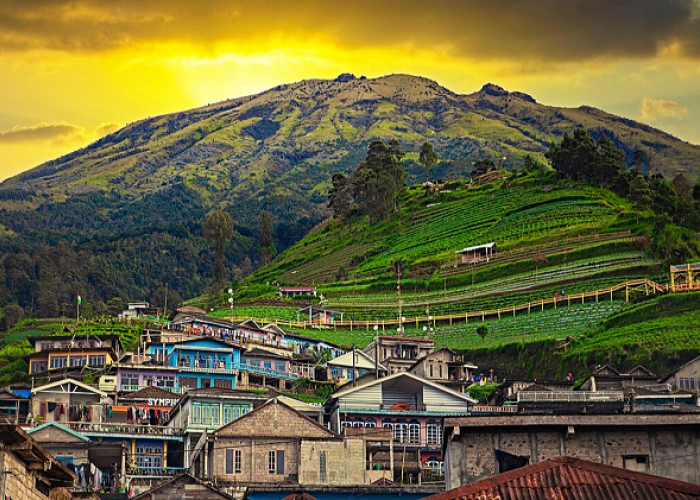 Menaklukkan Puncak Gunung Sumbing via Butuh Kaliangkrik, Menikmati Pesona Eksotis Nepal van Java 