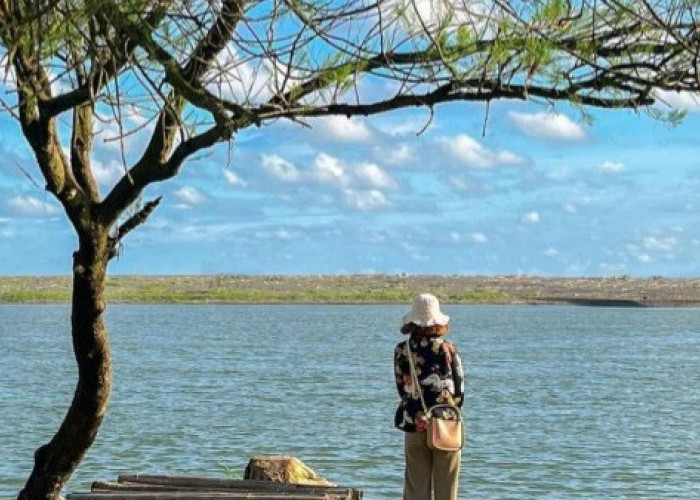 Deretan Pilihan Wisata Terbaru 2024 Pantai Bantul Jarang Terjamah Wisatawan