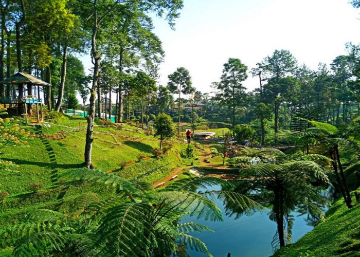 6 Daftar Wisata Menarik di Batang untuk Sarana Habiskan Momen Liburan, Cek Disini