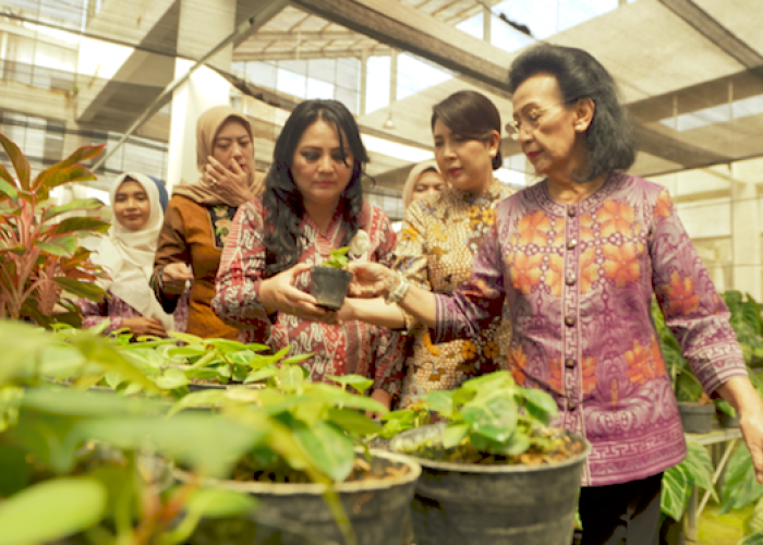 GKR Hemas Dorong Jogja Agro Park Kulon Progo Jadi Taman Edukasi dan Wisata Agro