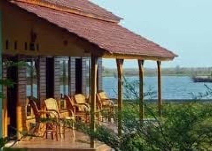 Cari Yang Nyaman? Berikut 12 Rekomendasi Wisata Terbaru 2024 Hotel di Tasikmalaya Dekat Pantai Pangandaran