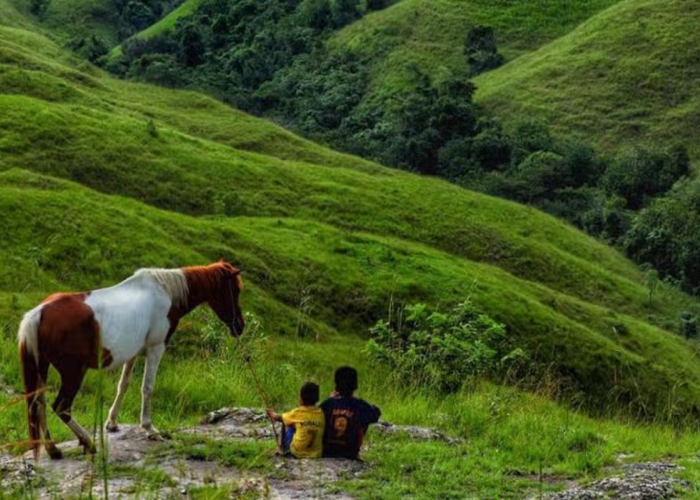 5 Wisata Padang Sabana di Sumba Timur, Punya Panorama Eksotis sebagai Spot Foto Terbaik