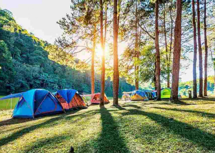 Baru Nih! 3 Wisata Camping Bogor di Awal Tahun 2024, Murah dengan View Gunung yang Fenomenal untuk Liburan 