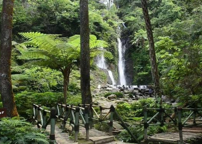 Ini dia 5 Tempat Wisata Terbaru di Puncak Bogor, Masih Sejuk dan Dingin Cocok Buat Liburan Akhir Pekan