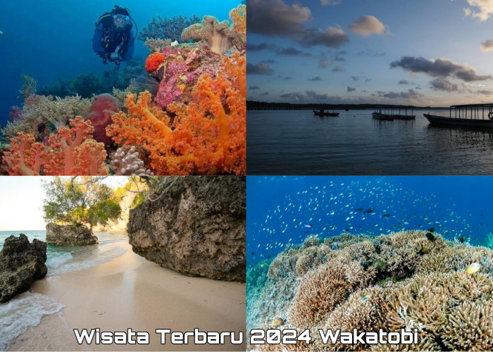 Sederet Aktivitas Seru Wisata Terbaru 2024, Bisa Kamu Lakukan di Wakatobi