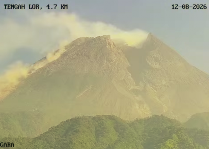 Merapi Dua Hari Berturut-turut Keluarkan Awan Panas Guguran, Status Masih Siaga